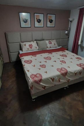 Apartman Zivkovic 2